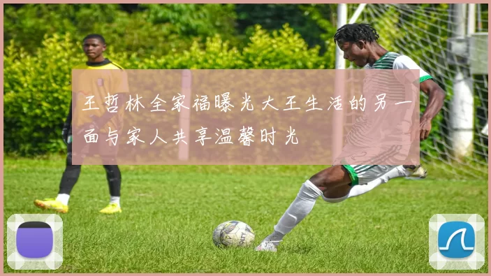 王哲林全家福曝光大王生活的另一面与家人共享温馨时光