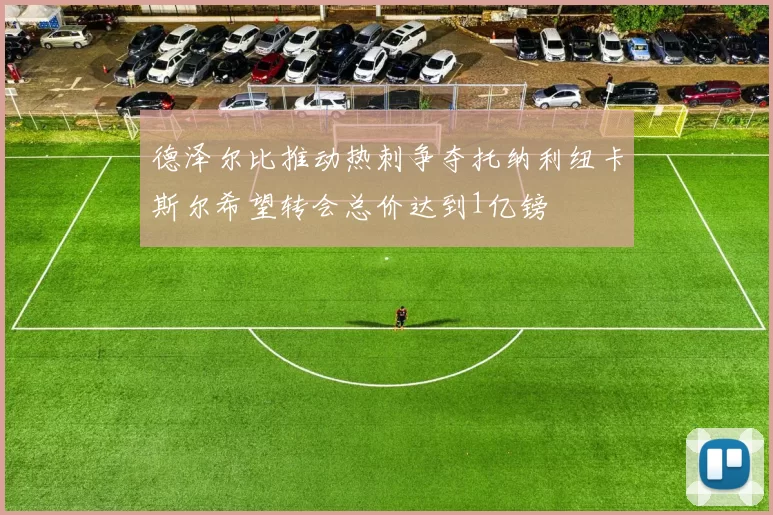 德泽尔比推动热刺争夺托纳利纽卡斯尔希望转会总价达到1亿镑